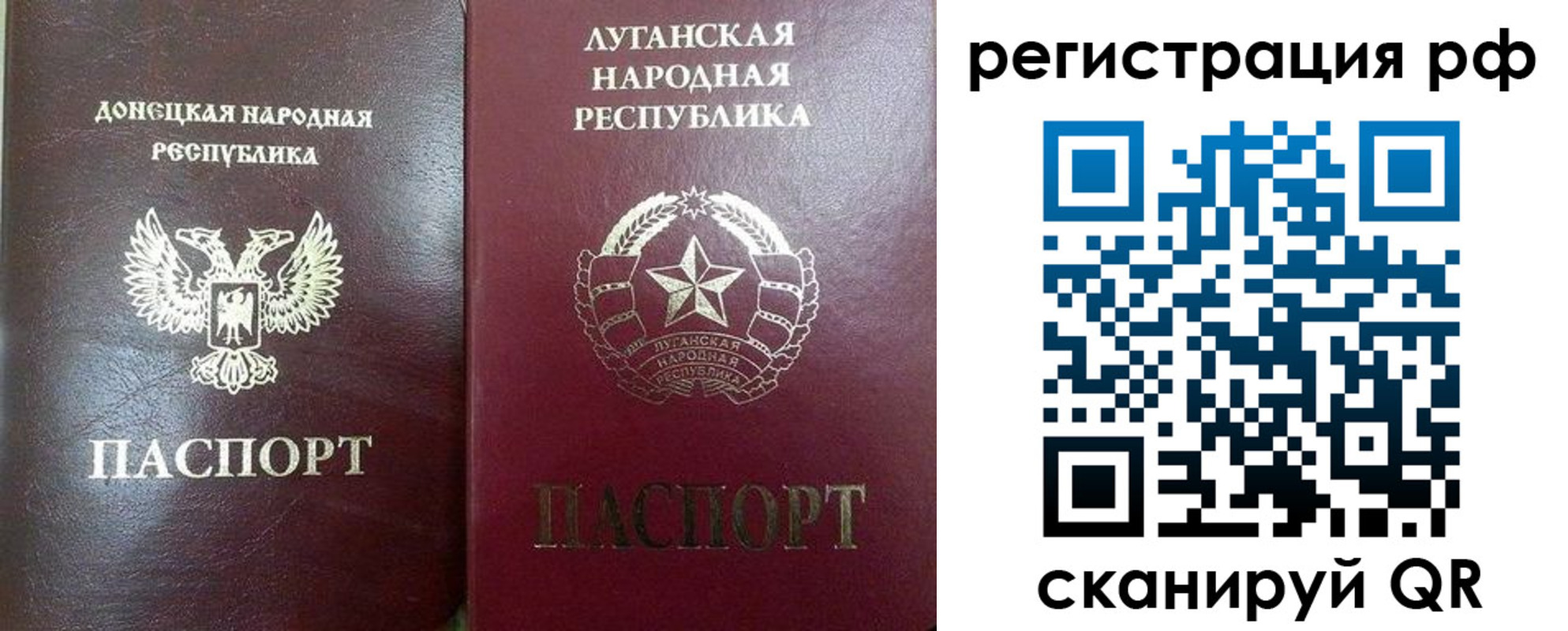 прописка штамп в Фрязино